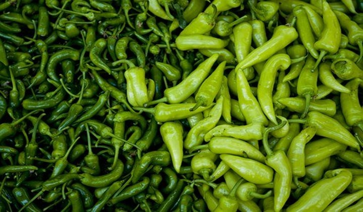 Read more about the article Substitutes for green pepper