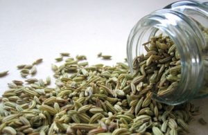 Read more about the article Substitute for Fennel Seed
