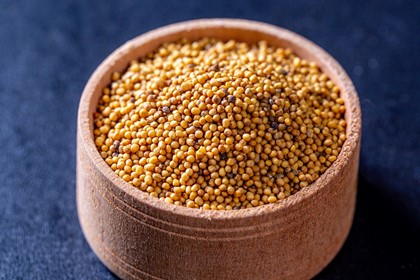 Mustard powder and yellow mustard seeds