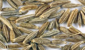 Read more about the article Substitute for cumin seeds