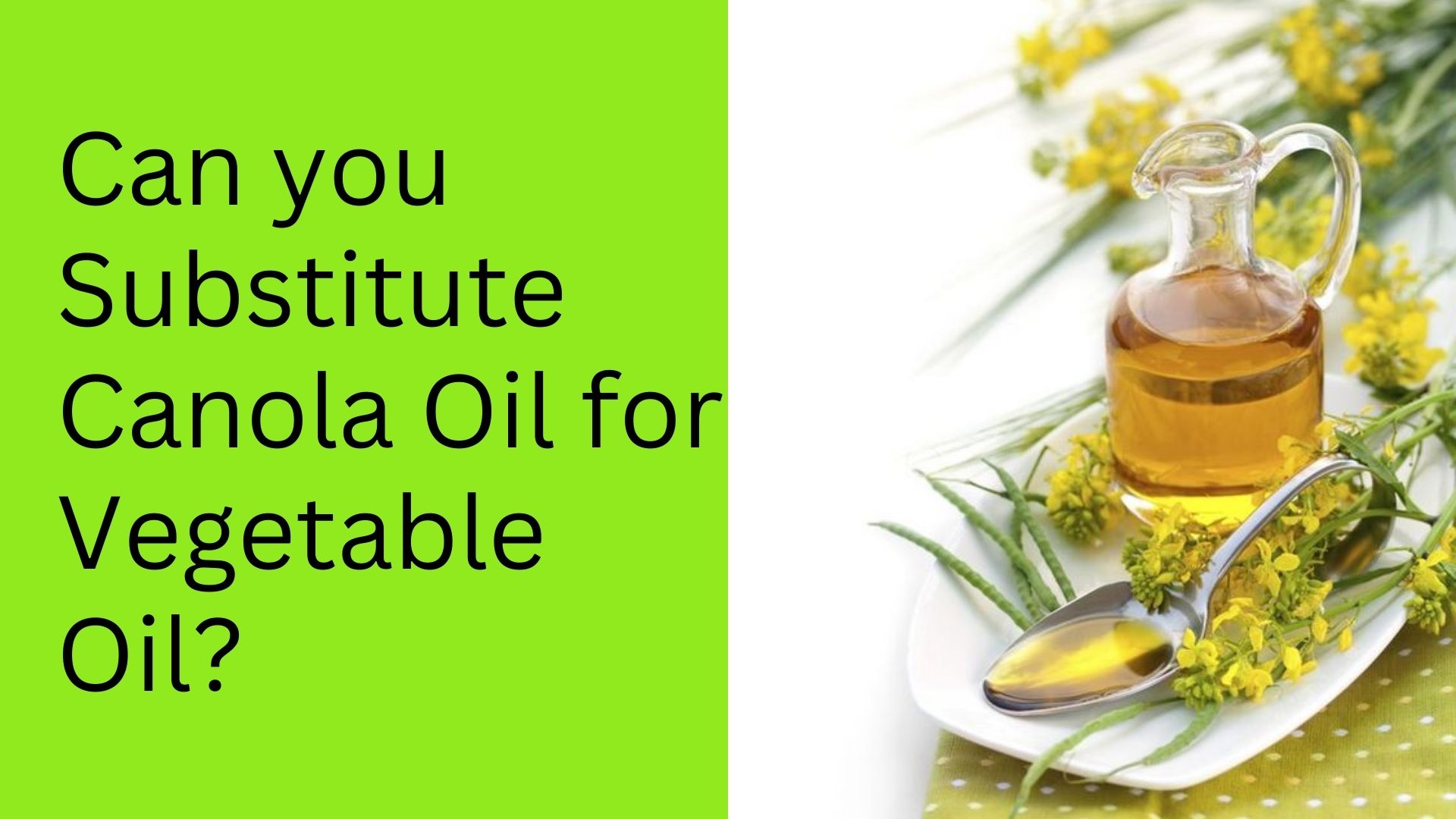 Can-you-Substitute-Canola-Oil-for-Vegetable-Oil