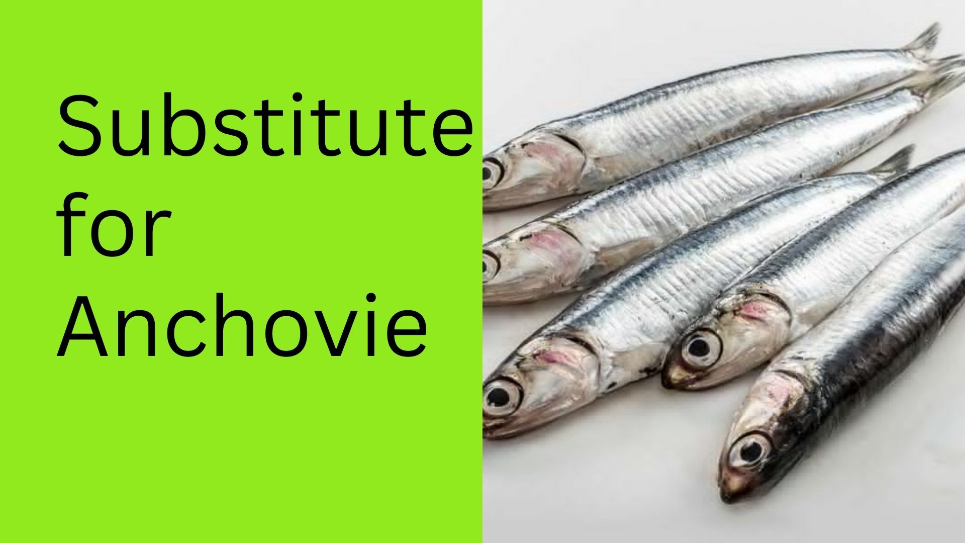 Substitute for Anchovie