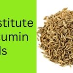 Substitute for cumin seeds
