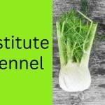Substitute for fennel