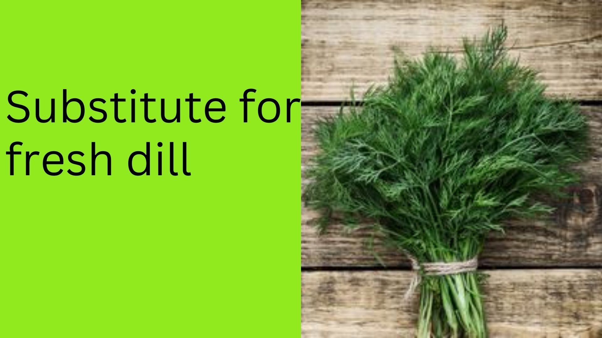 Substitute for fresh dill