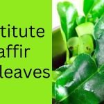 Substitute for kaffir lime leaves