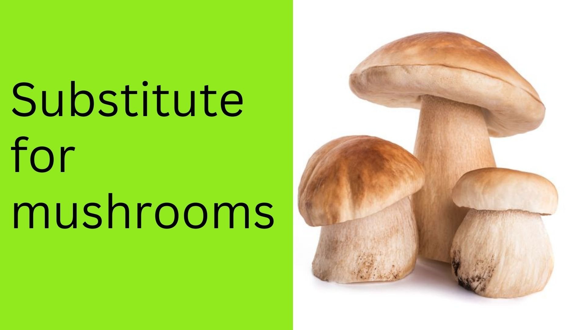 Substitute for mushrooms