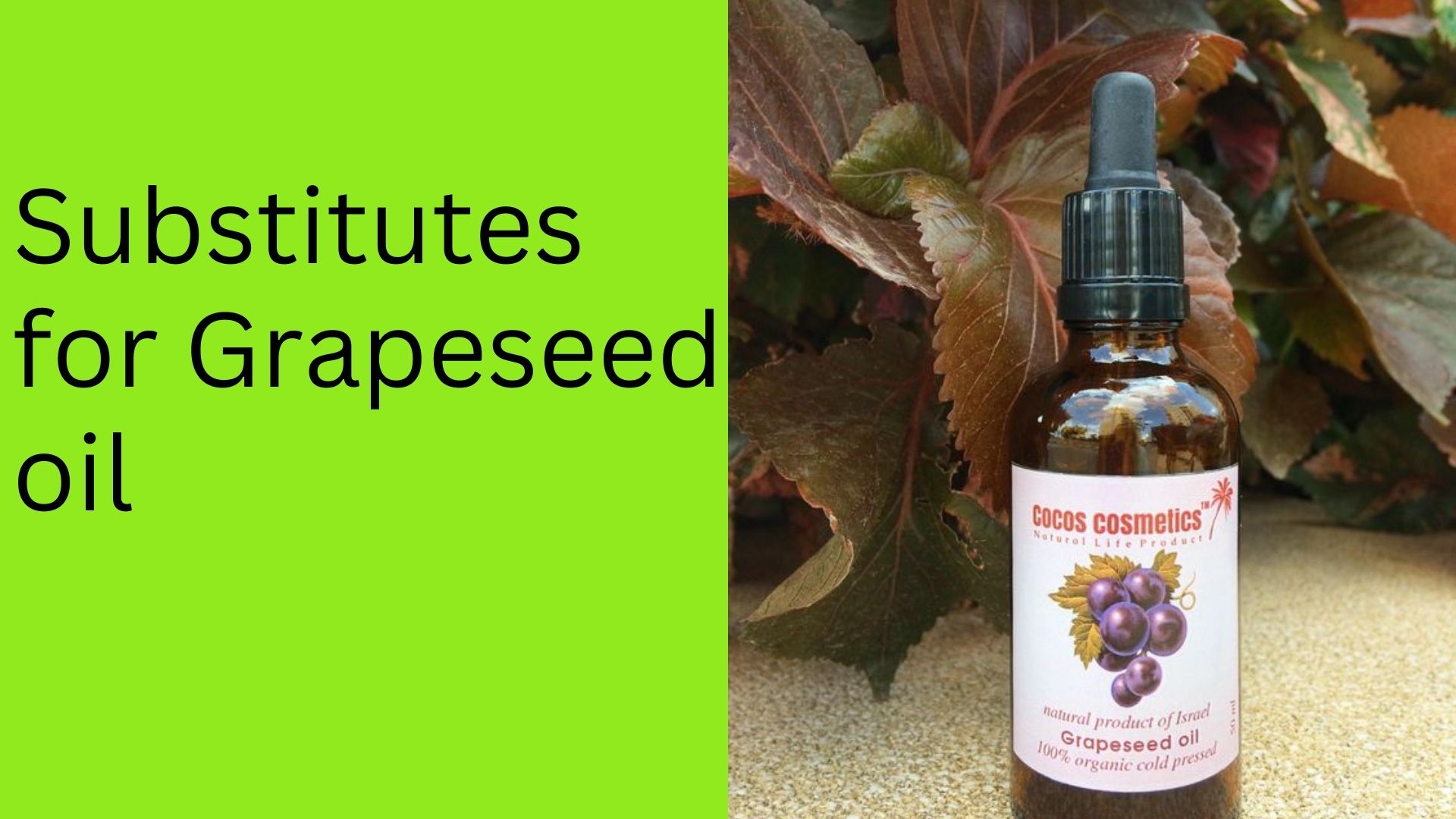Substitutes for Grapeseed oil