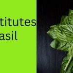 Substitutes for basil