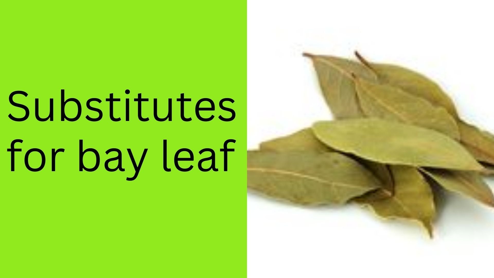 Substitutes for bay leaf