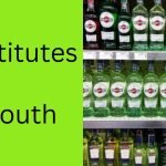 Substitutes for vermouth